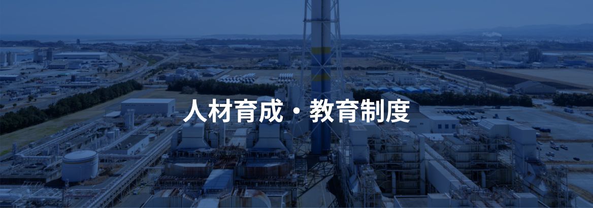 人材育成・教育制度